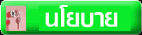 นโยบาย
